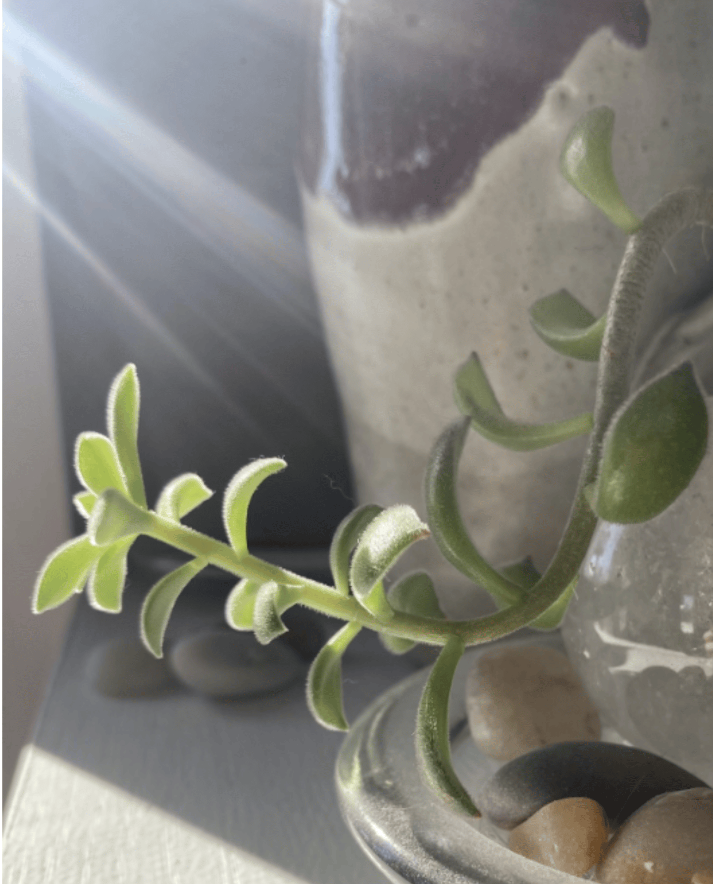 Home Cl healthy interior design email subscription cl designs